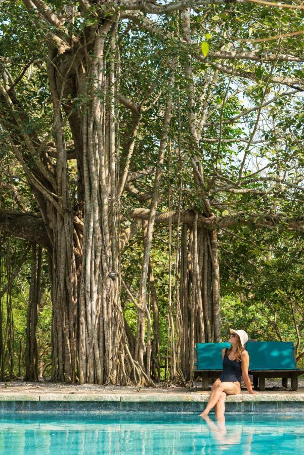 Kaav Safari Lodge, Kabini Begūr Kültér fotó
