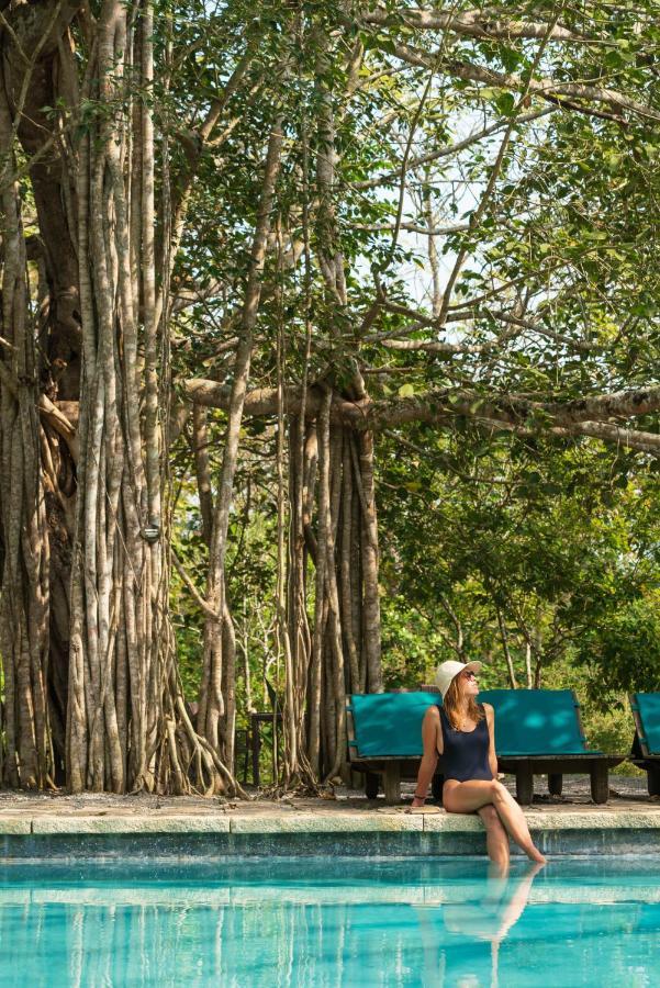 Kaav Safari Lodge, Kabini Begūr Kültér fotó