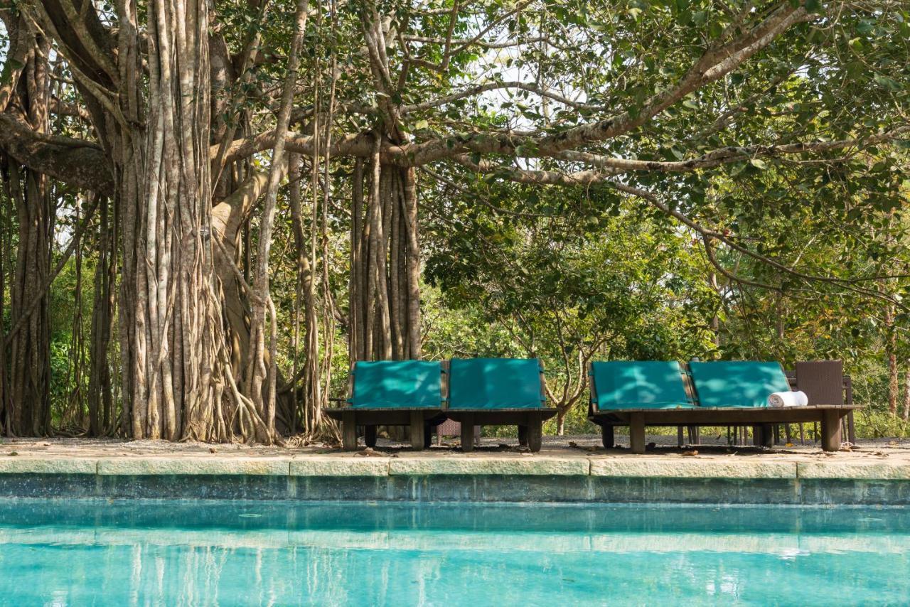 Kaav Safari Lodge, Kabini Begūr Kültér fotó